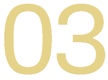 03